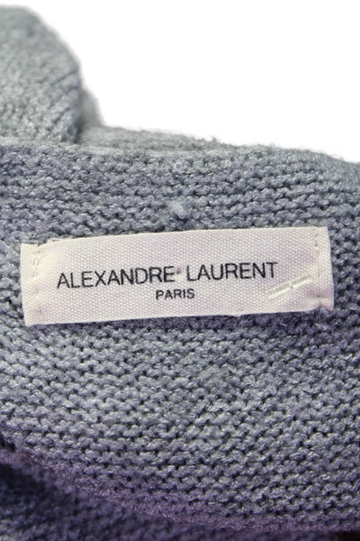 Alexandre Laurent Womens V-Neck Knitted Long Sleeve Pullover Sweater Gray Size M