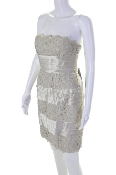 BCBG Max Azria Womens Textured Sleeveless Zip Lacy Dress Beige Size 4