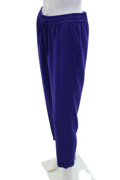 J Crew WOmens Drawstring Waist Mid-Rise Tapered Pants Trousers Purple Size 2