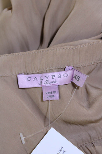 Calypso Womens Satin V-Neck Long Sleeve Curved Hem Blouse Light Brown Size XS