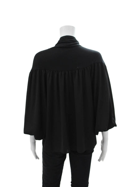 Lola & Sophie Women's Turtleneck Long Sleeves Sheer Blouse Black Size XS