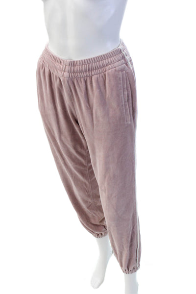 Birds of Paradis Womens Elastic Waistband Striped Trim Velour Pants Pink Size XS