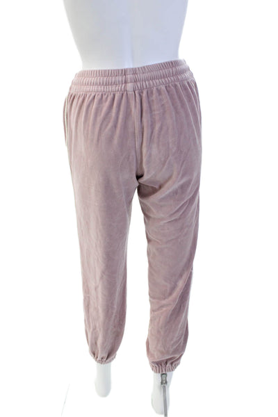 Birds of Paradis Womens Elastic Waistband Striped Trim Velour Pants Pink Size XS