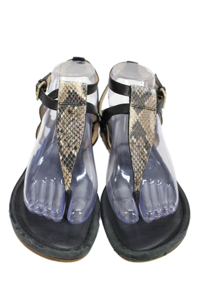 Cole Haan Womens Snakeskin Print T Strap Thong Sandals Black Size 8
