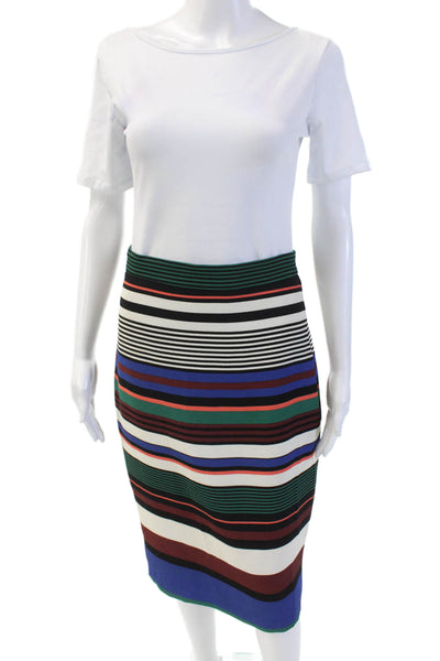 Badgley Mischka Womens Textured Mid Length Lined Striped Skirt Multi Size 06