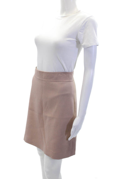 Theory Womens Back Zippered Lined Knee Length A-Line Skirt Pink Size 12