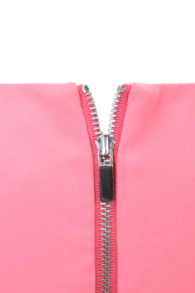 Elizabeth and James Womens Sleeveless Round Neck Zip Pencil Dress Pink Size 02