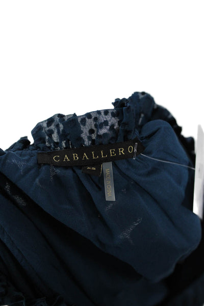 Caballero Collection Womens Textured Long Sleeve V-neck Blouse Blue Size XS