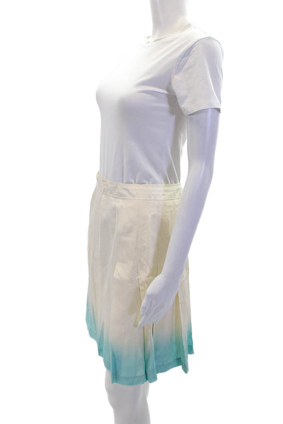Calvin Klein Womens Lined Silk Ombre Pleated Zip Up Skirt Cream Size 2