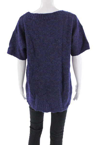 J Crew Womens V-Neck Short Sleeve Pullover Knit Sweater Purple Size XL