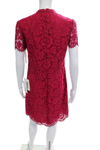 Valentino L'Amour Womens Cotton Blend Lace Short Sleeve Dress Pink Size 8
