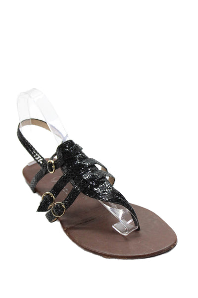 Ibiza Last Jeffrey Campbell Womens Buckled Strap Detail Sandals Black Size 9