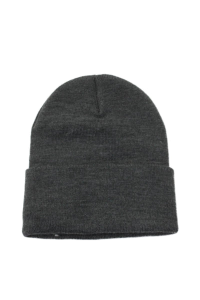 Carhartt Unisex Ribbed Knit Fold Over Stretch Logo Beanie Gray O/S