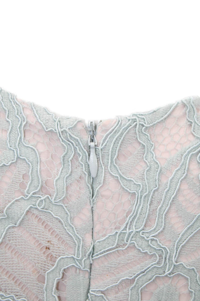 Alexis Womens Lace V Neck Long Sleeves Evening Gown Blue Pink Size Large