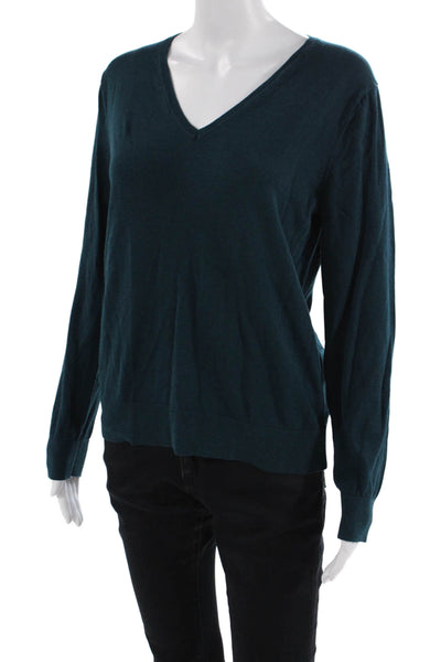Banana Republic Womens Cotton V-Neck Long Sleeve Casual Sweater Blue Size M
