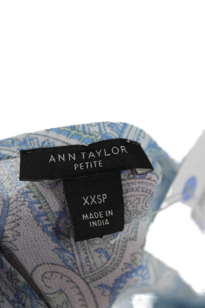 Ann Taylor Womens Fit & Flare Paisley Knee Length Dress Light Blue Size 2XS