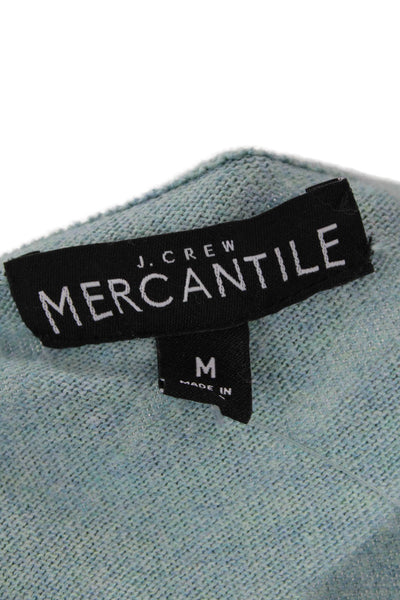 J Crew Men Light Blue V-Neck 100% Cotton Pullover Sweaters Size M
