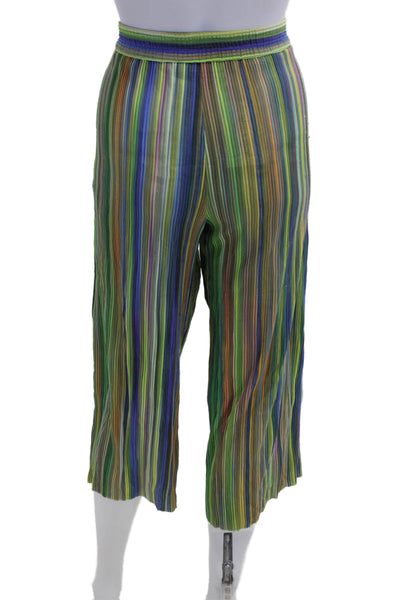 Drew Womens Cropped Striped Blue Pants Size S