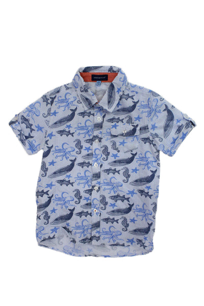 Andy & Evan Boys Cotton Graphic Print Buttoned Short Sleeve Top Blue Size 6T
