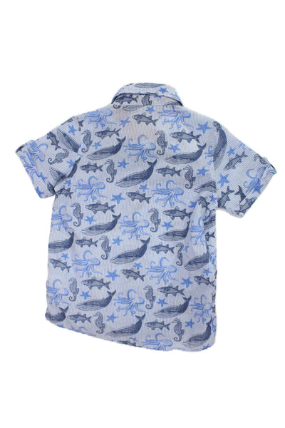 Andy & Evan Boys Cotton Graphic Print Buttoned Short Sleeve Top Blue Size 6T