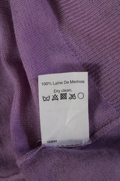 J Crew Womens Purple Merino V Neck Pullover Long Sleeve Size M