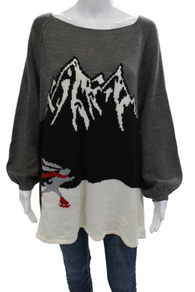 Style & Co Unisex Dark Gray Graphic Pullover Sweater Long Sleeve Size L