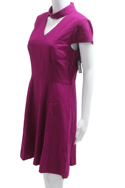 Tahari Levine Women A-Line Fit & Flare V-Neck Short Sleeve Purple Dress Size 8P