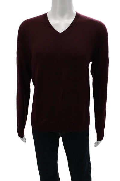 Banana Republic Mens Pullover V Neck Merino Wool Sweater Purple Size L
