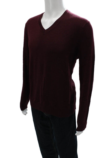 Banana Republic Mens Pullover V Neck Merino Wool Sweater Purple Size L