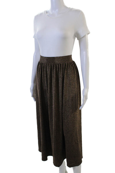 J Crew Womens A-Line Maxi Brown Metallic Skirt Size 2X