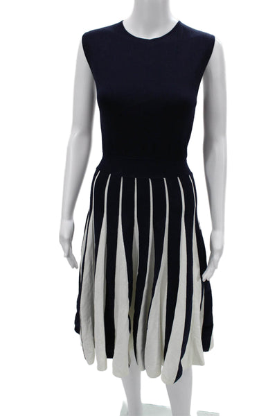 Ted Baker Womens Fit & Flare Striped Dark Blue Sleeveless Long Dress Size 5