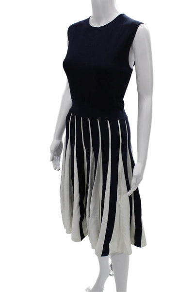 Ted Baker Womens Fit & Flare Striped Dark Blue Sleeveless Long Dress Size 5