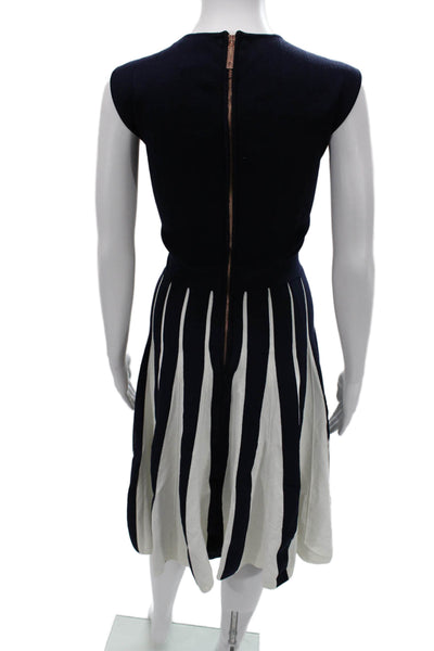 Ted Baker Womens Fit & Flare Striped Dark Blue Sleeveless Long Dress Size 5
