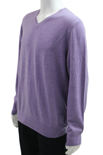 Charles Tyrwhitt Mens Purple Merino Wool V Neck Pullover Sweater Size L