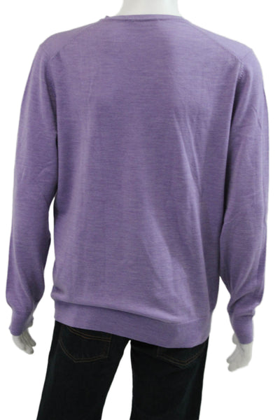 Charles Tyrwhitt Mens Purple Merino Wool V Neck Pullover Sweater Size L