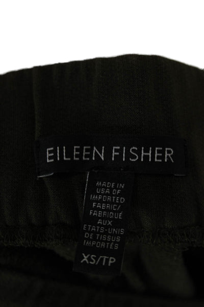 Eileen Fisher Womens Green Turtleneck Long Sleeve Top Lyocell Spandex Size XS
