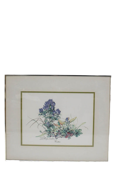 Sally Ellington Middleton White Multicolored Gentian Framed Picture 17"x14"