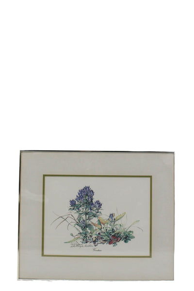 Sally Ellington Middleton White Multicolored Gentian Framed Picture 17"x14"
