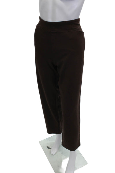 Susan Graver Womens Cropped Brown Pants Rayon Blend Size M