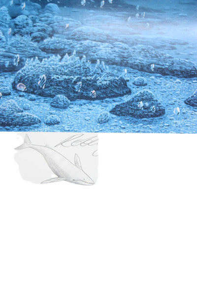 Robert Lyn Nelson White Blue Underwater Dolphin Turtle Scene Poster 30"x24"