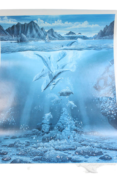Robert Lyn Nelson White Blue Underwater Dolphin Turtle Scene Poster 30"x24"