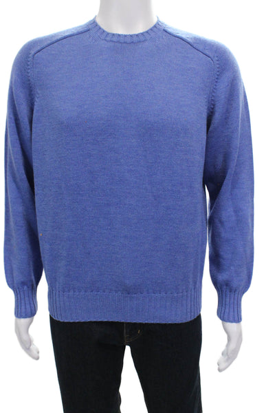 Tyrone Mens Wool Pullover Sweater Crew Neck Blue Long Sleeve Size M
