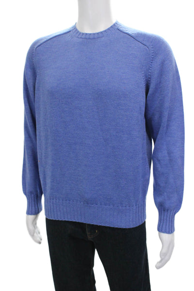 Tyrone Mens Wool Pullover Sweater Crew Neck Blue Long Sleeve Size M