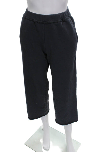 Eileen Fisher Women Sweatpants Blue Organic Cotton Pull On Petite Size 2XS
