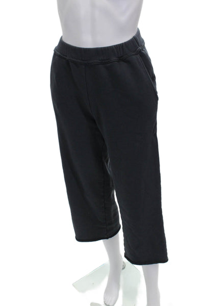 Eileen Fisher Women Sweatpants Blue Organic Cotton Pull On Petite Size 2XS
