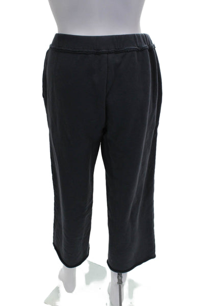 Eileen Fisher Women Sweatpants Blue Organic Cotton Pull On Petite Size 2XS