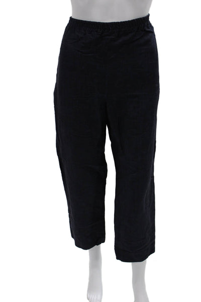 Eskandar Womens Cropped Linen Blend Pants Blue Size 0