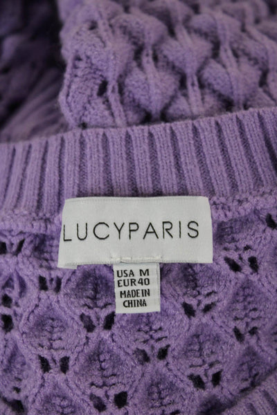 Lucy Paris Women Pullover Sweater Purple Long Sleeve Size M