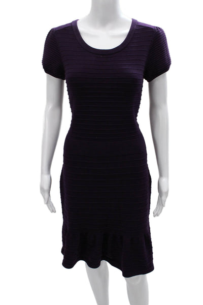 Sandro Women Sweater Dress Purple Midi Short Sleeve Zip Scoop Neck Size 3