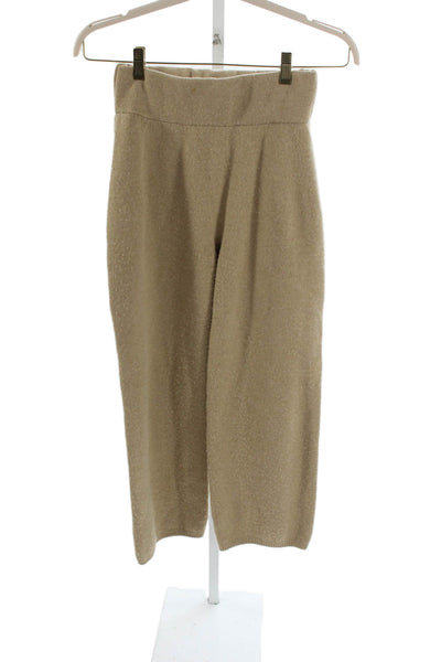 James Street Women Pants Brown Wool Solid Size M